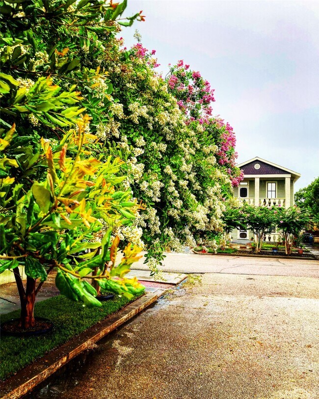 Building Photo - 2010 The Strand