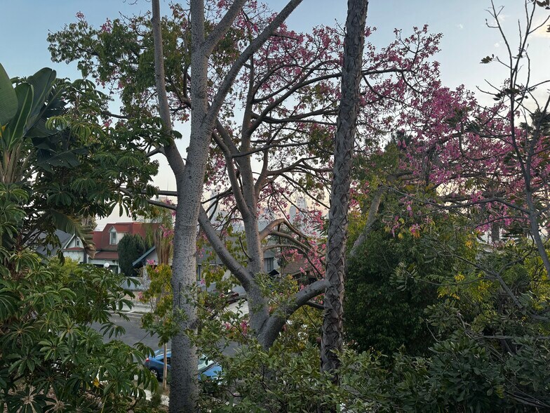 Building Photo - 1461 Carroll Ave