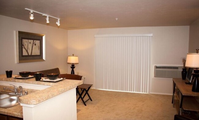 Spacious Studio - Ridge View Apartments