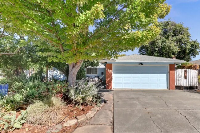 Building Photo - Charming 3 bed 1 bath home in Davis