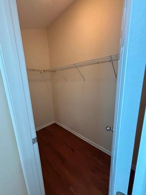 Building Photo - 2570 Trelipe Dr