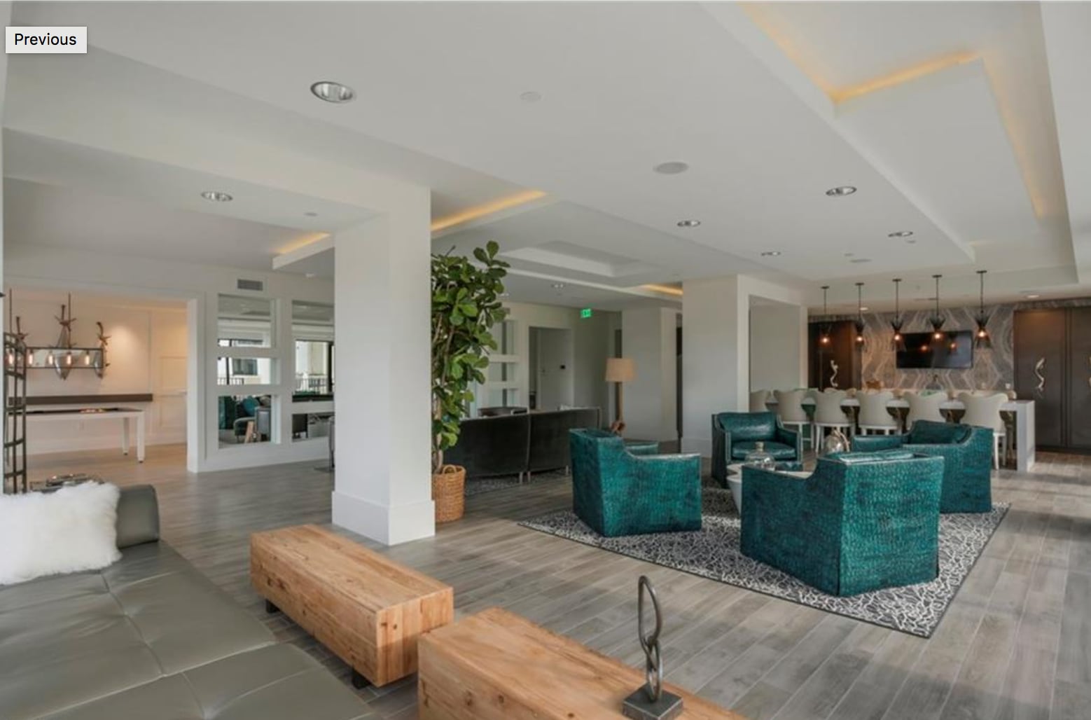 Lavishly appointed social room overlooking pool and spa - 1030 3rd Ave S