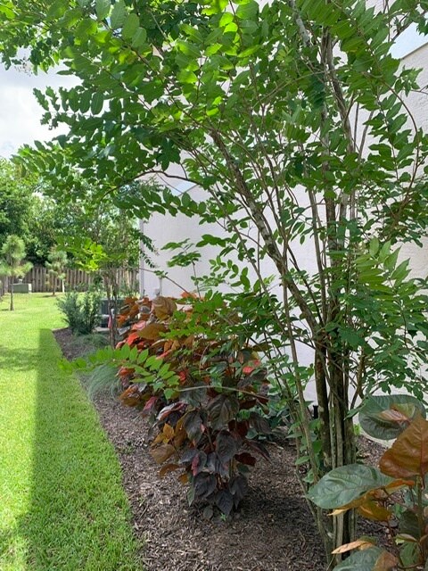 Building Photo - 1622 Montauk Dr