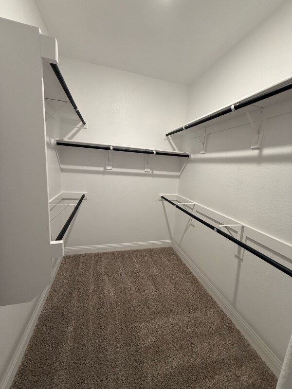 Building Photo - 1009 Tartane Dr