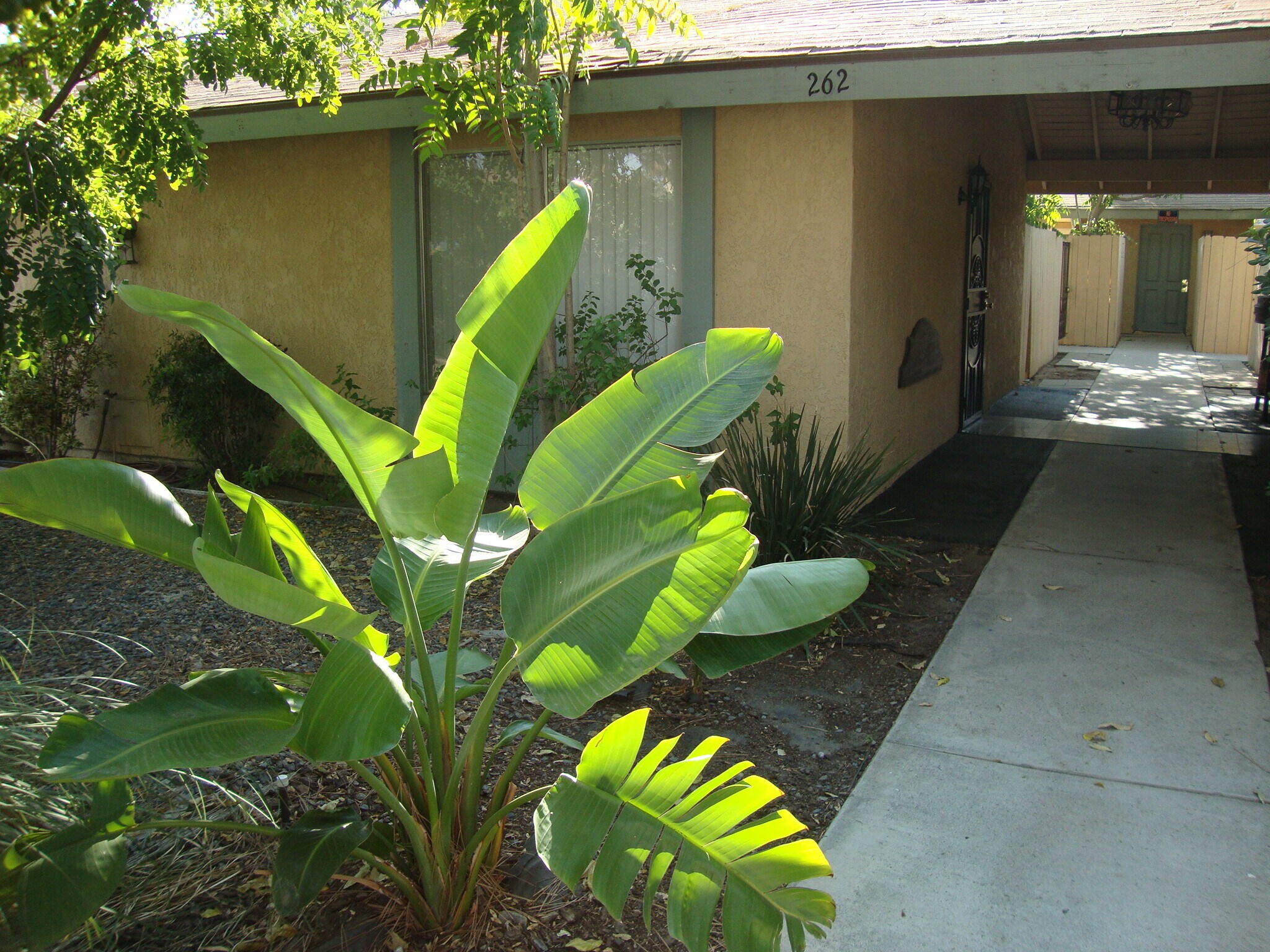 Building Photo - 262 S Santa Fe Ave