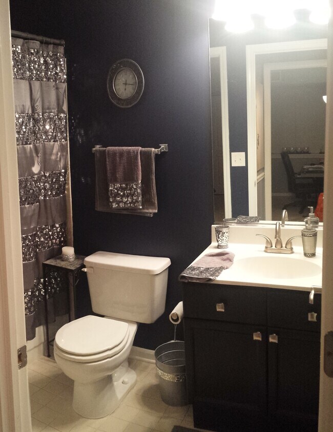 2nd Full Bath - 778 N Gary Ave