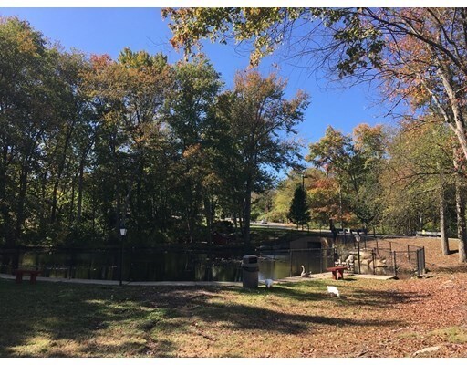 Building Photo - 6 Shadowbrook Ln