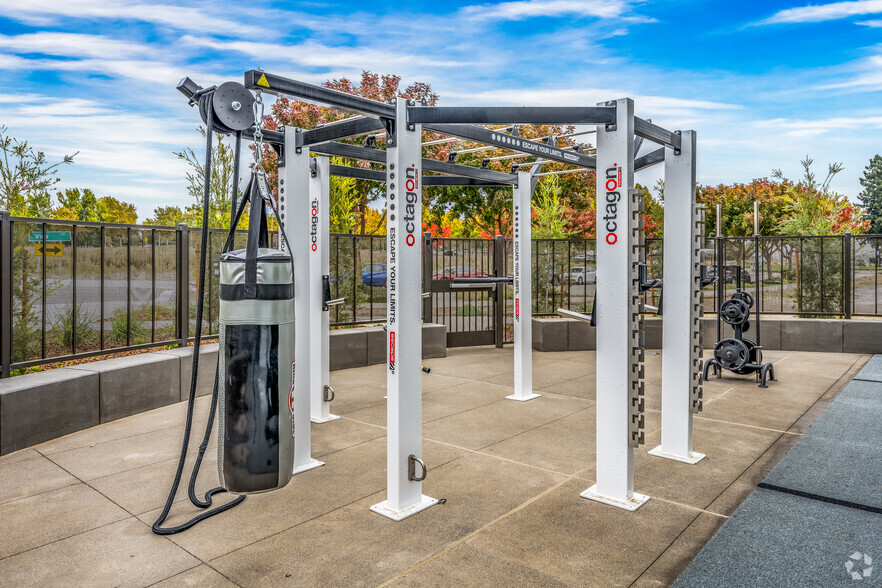 Outdoor Gym - The Hayley