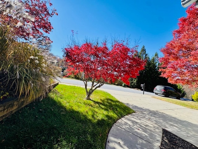 Building Photo - 50 Grove End Rd