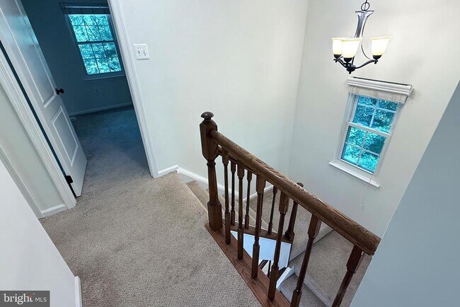 Building Photo - 10100 Walnut Wood Ct