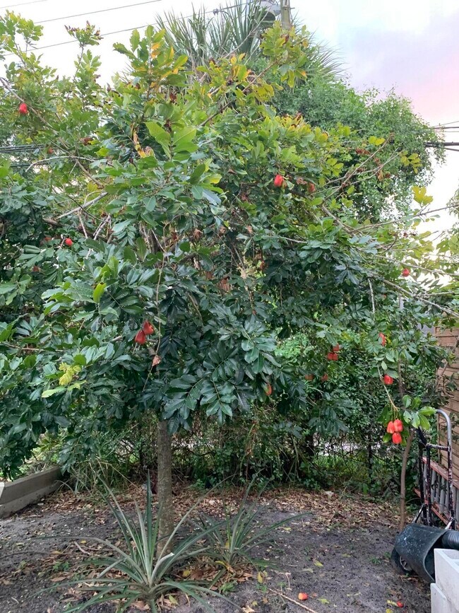 Building Photo - 1345 W 34th St