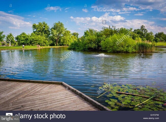 Building Photo - 1929 Gough St