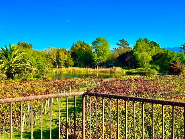 Building Photo - 3730 Roblar Ave