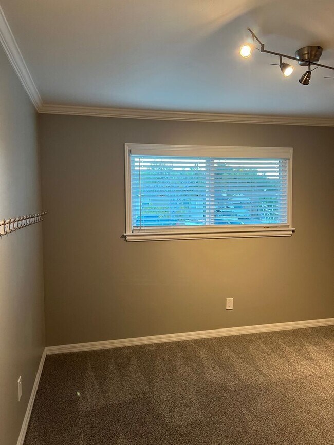 Building Photo - Rare Find!!!  Incredible 4  bedroom / 2 bath updated house in beautiful Clairemont!!!