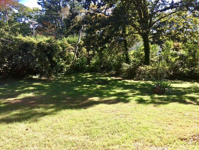 Building Photo - Hamilton Lakes Park Area 3 BR in Grimsley HS District