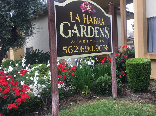 Primary Photo - La Habra Gardens