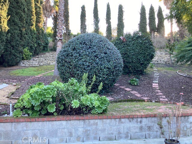 Building Photo - 25042 Armagosa Dr