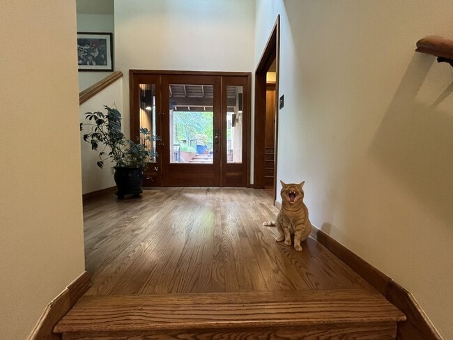 Building Photo - One-of-a-Kind Custom Home with Wall of Windows, Stone Fireplaces, Expansive Entertainment Space &...
