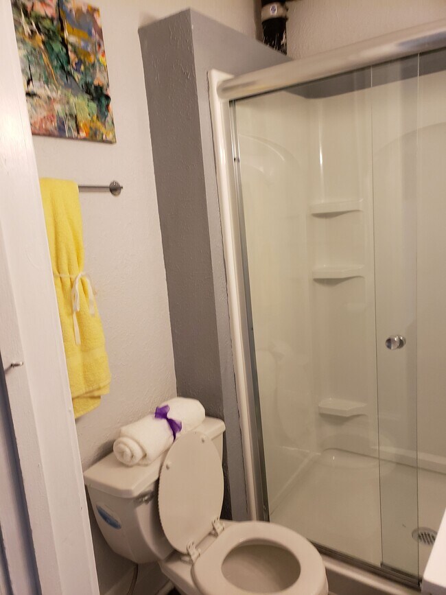 Building Photo - 209 5th St