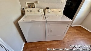 Building Photo - 8871 Staghorn Ml