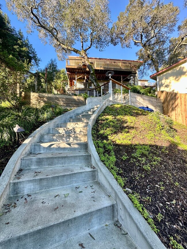 Building Photo - Fairfax Hillside Flat w/Valley Views