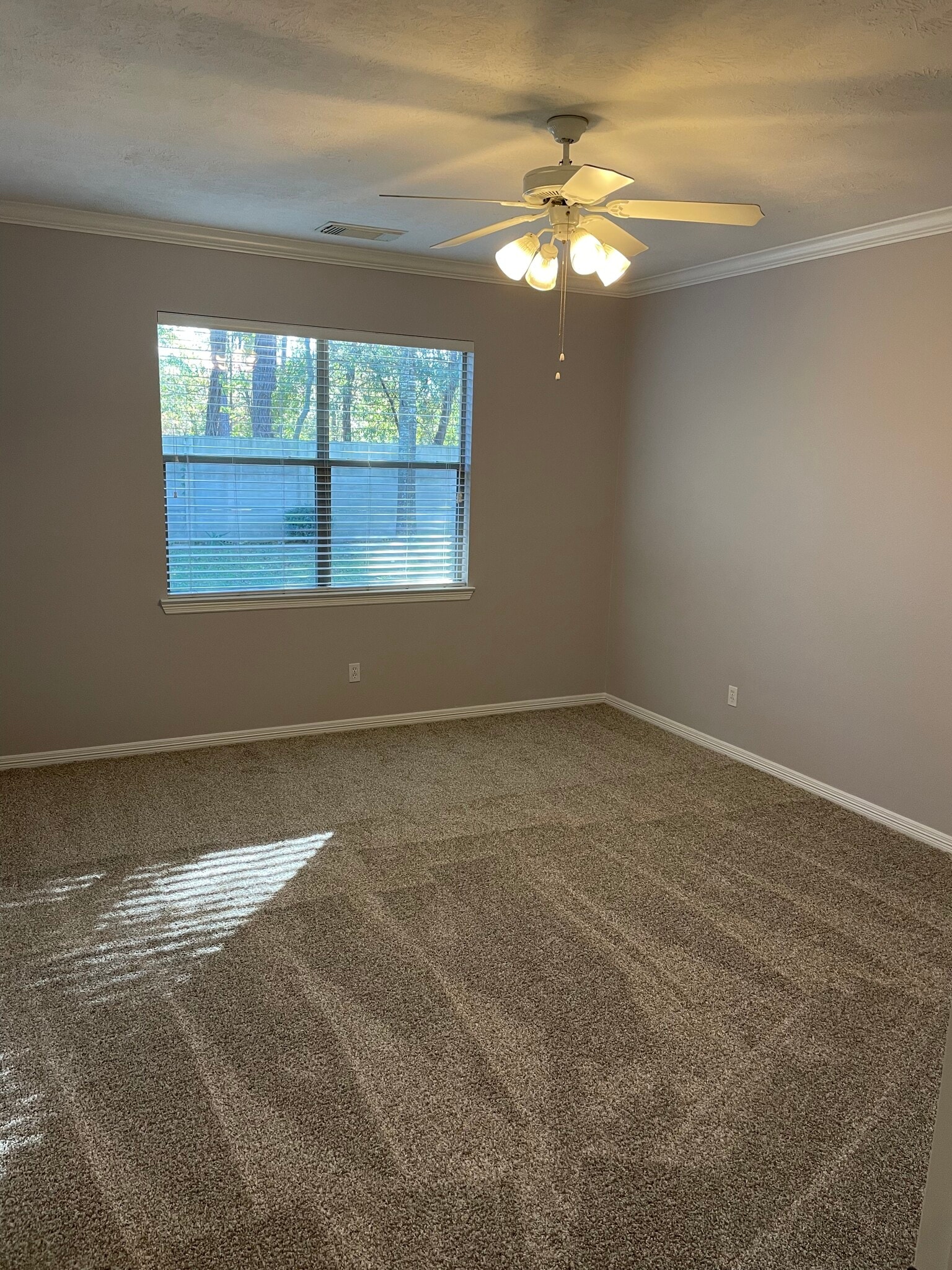 Master bedroom - downstairs - 20100 Bitter Root Dr