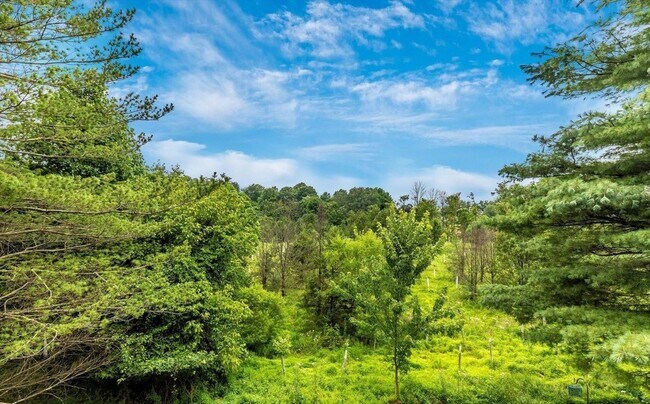 Building Photo - Beautifully maintained townhouse in New Market available before the new school year!