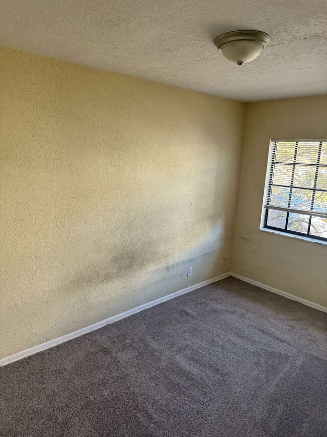 Building Photo - "Spacious 4-Bedroom Oasis with 2 Baths in Tampa – Your Perfect Family Retreat!"