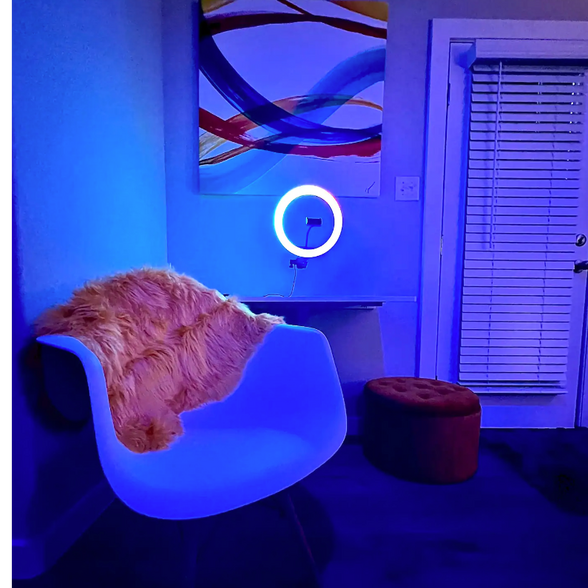 LED Streaming light and workstation (Shared Space) - 850 E Erie Ave