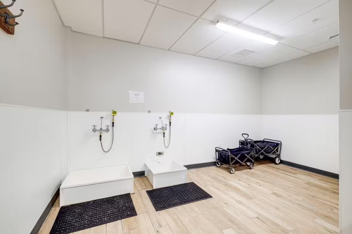 Dog Bathing Area - 383 Commercial St