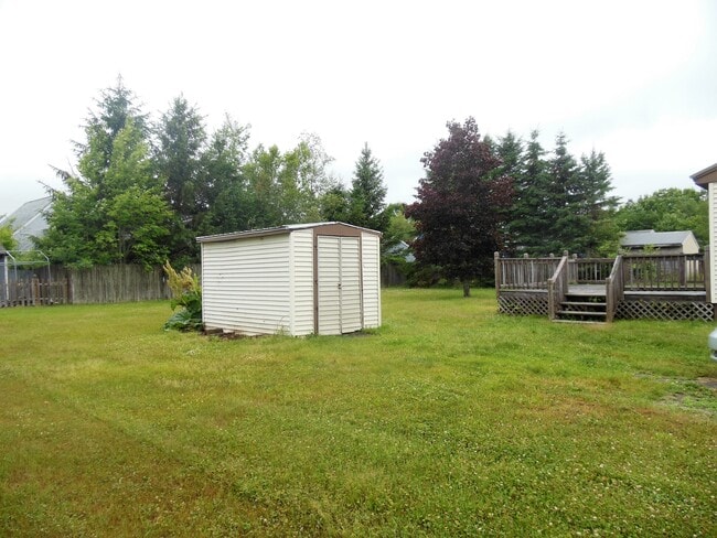 Shed - 17 Kingman St