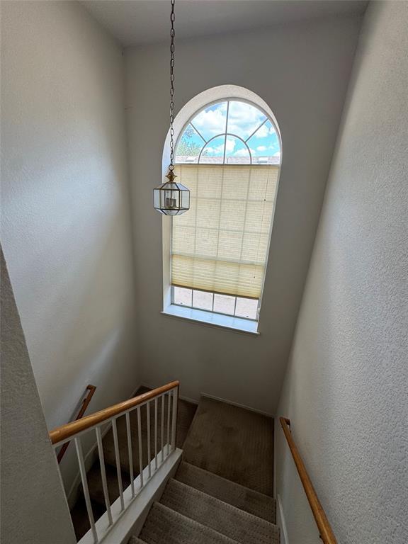 Building Photo - 8312 Dulac Dr