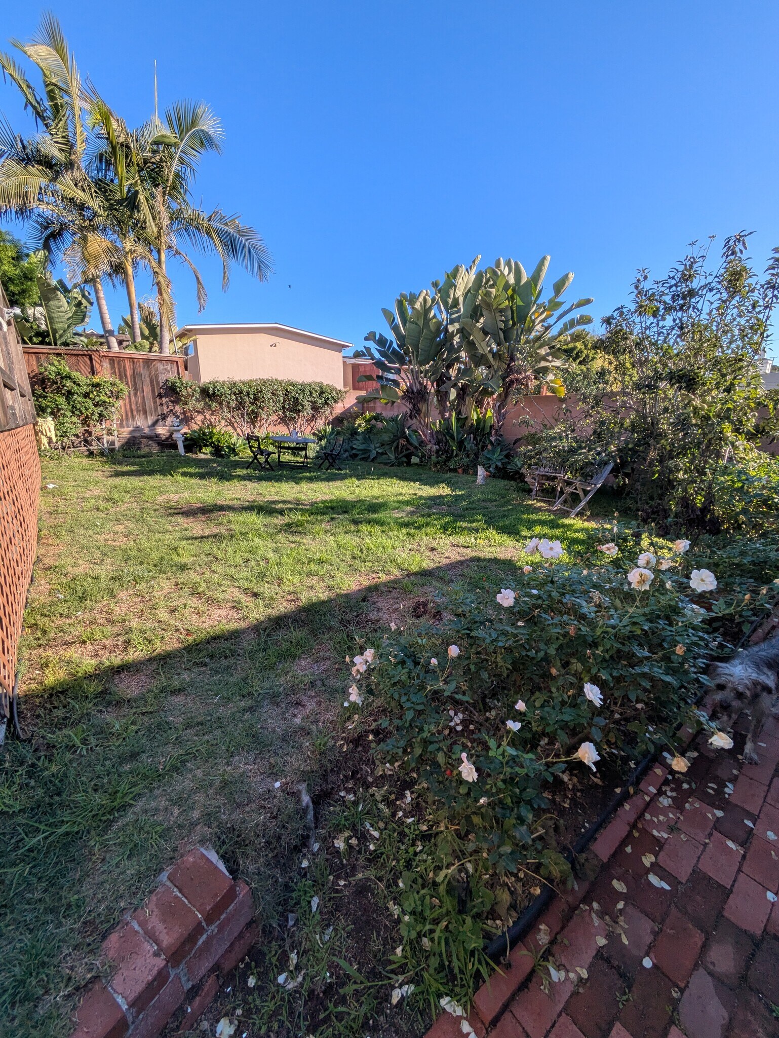 Building Photo - 522 E Maple Ave