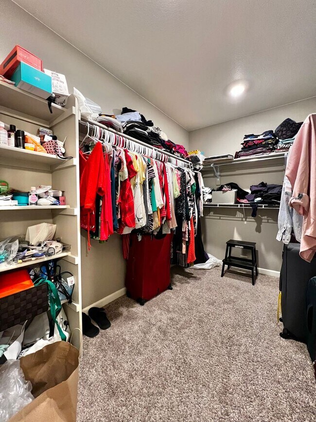 Building Photo - 4 Bed 3 Bath Available August 1st in Windsor!!!