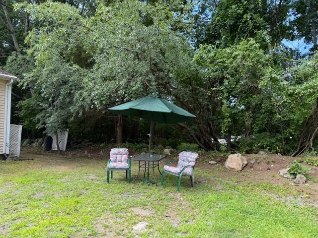 Back Yard Area - 77R Goodale St