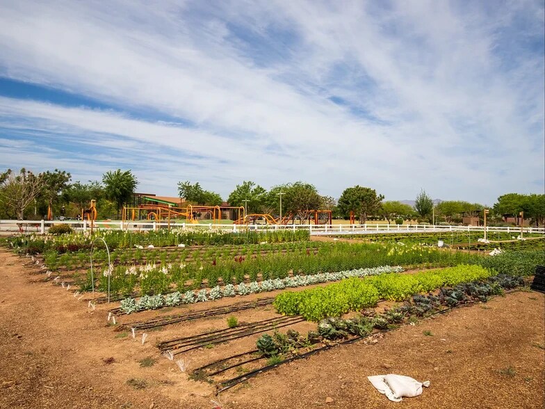 Eastmark Steadfast Farmer's Market - 9309 E Static Ave