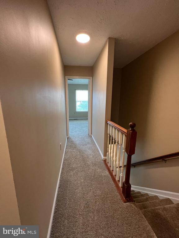 Building Photo - 5004 Doctorfish Ct