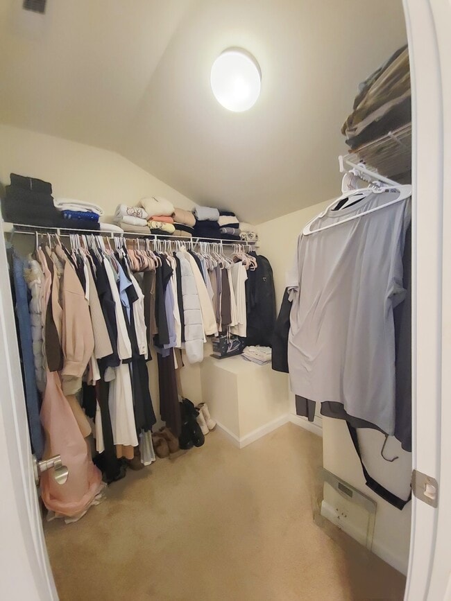 Building Photo - 2919 Berkeley Springs Pl