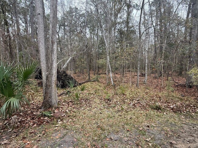 Building Photo - 3 Bedroom Backing up to San Felasco Hammock