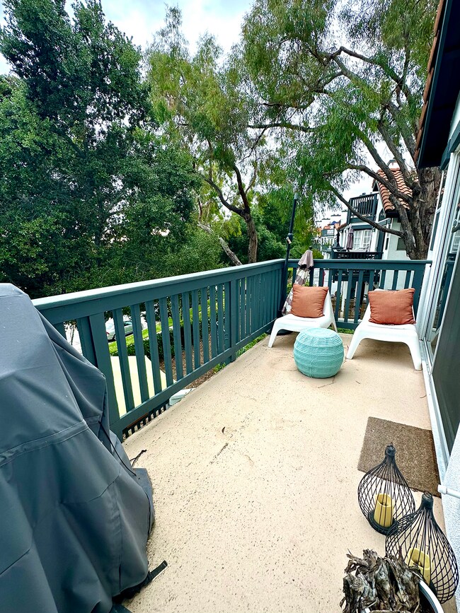 balcony - 44 Dianthus