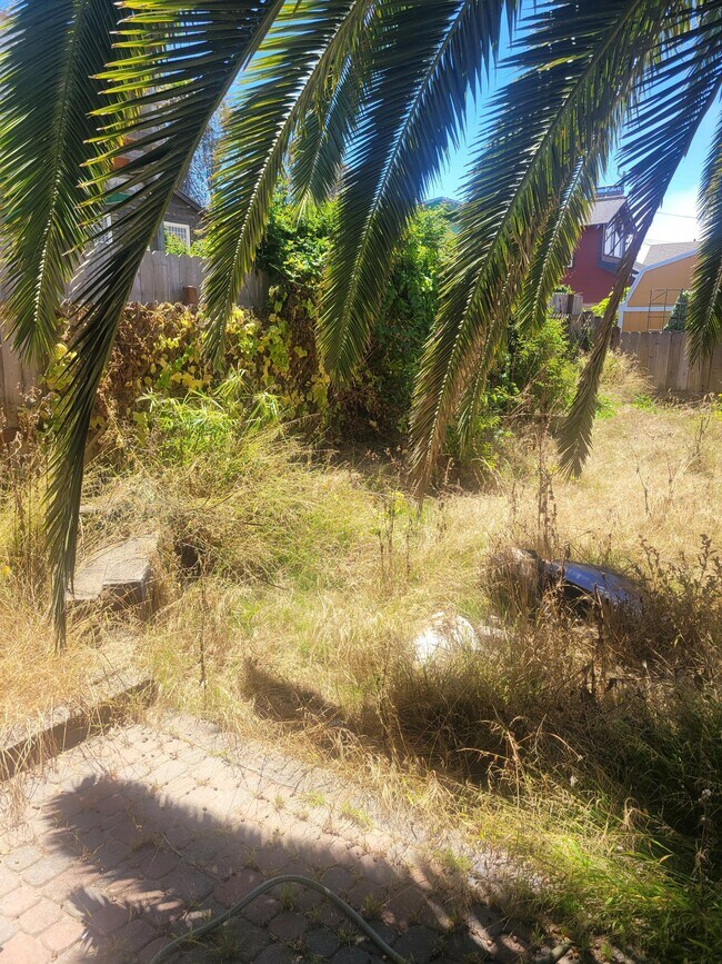 Building Photo - 1941 Nancy Ave