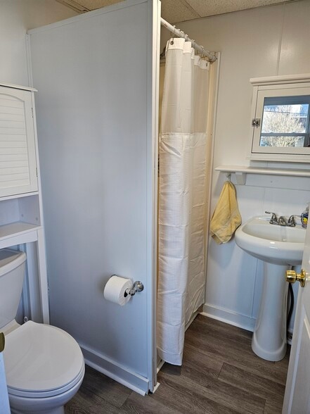 Down Stairs bathroom - 421 Tazewell Ave