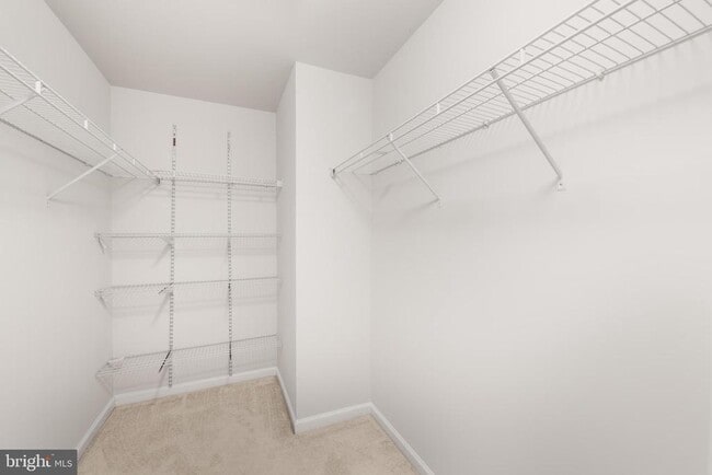 Building Photo - 11149 Wortham Crest Cir