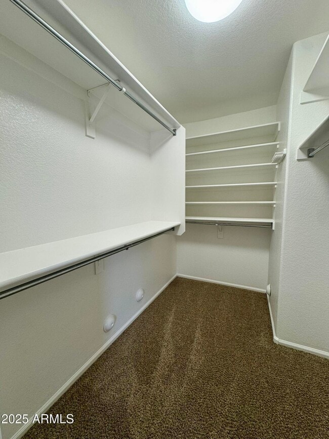 Building Photo - 2344 W White Feather Ln