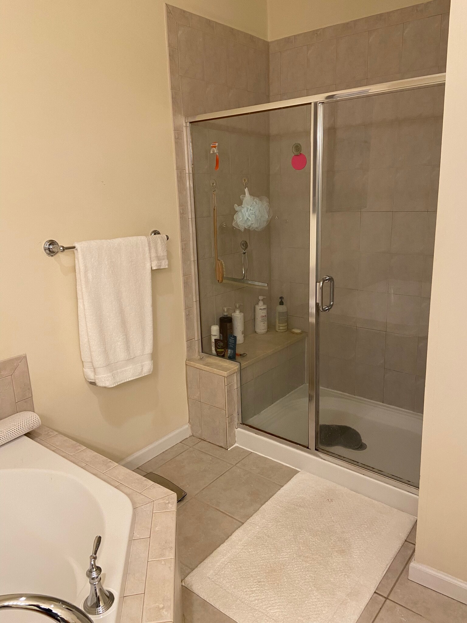 Master Bath - 228 Sonata Ct