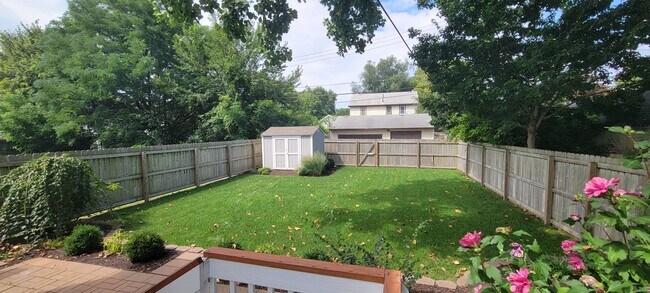 Backyard - 148 E Moler St