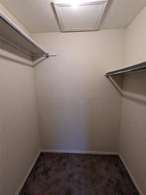 Building Photo - 7431 Holly Hill Dr