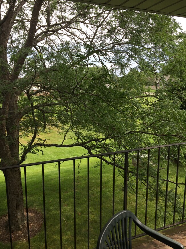 Balcony - 36 Gant Cir