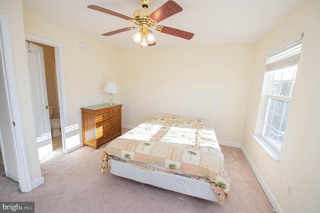 Building Photo - 38478 Ocean Blvd