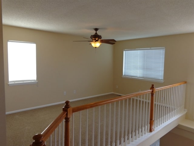 Building Photo - 4116 N Orleans St